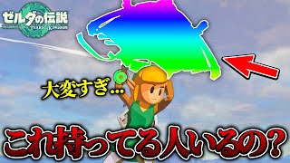 【ティアキン】〇〇を全て集めると貰えるパラセールの生地を入手したら...【ゼルダの伝説 ティアーズ オブ ザ キングダム】