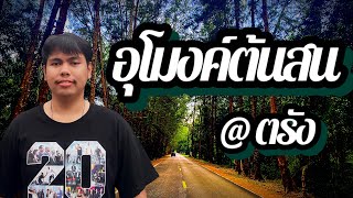 EP 2 แนะนำสถานที่ท่องเที่ยว อุโมงค์ต้นสน @ตรัง l เwชs