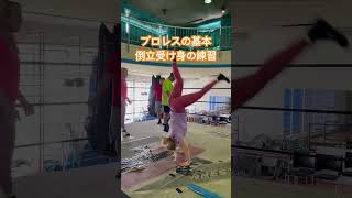 【プロレスの練習】倒立受け身【ちゃんよたが実践】