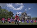 第一部 総踊り_①〜②【4k_広角】／第1部／yosakoi in 白石城 2023