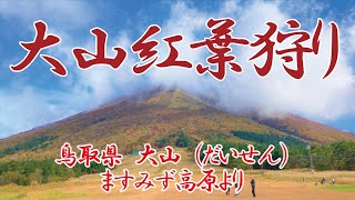 大山　紅葉狩り　鳥取県大山ますみず高原からの絶景　＃鳥取　＃紅葉　＃大山