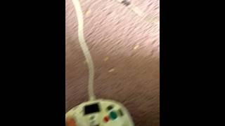 Newly found gamecube startup easter egg