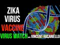 Zika Virus Vaccine