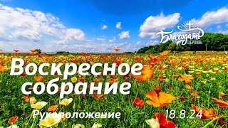 Воскресное собрание / 18.8.24 / церковь 