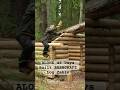 ALONE 45 Days Built BUSHCRAFT Log Cabin #bushcaft #survival #logcabin