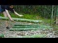 Full-video 20 Days Building Cabin in the Bamboo Forest - Alone Determined from Start to Finish