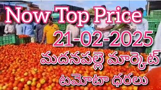 21-02-25#madanapalle tomato market price today#todaytomatoprice🍅#madanapalle#మదనపల్లి