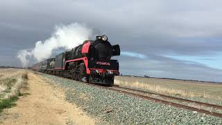 Steamrail Echuca Bound Steam Train R761