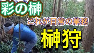 山に榊を摂りに行く〜榊屋の通常業務