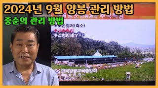 9월 중순, 가을벌 받기가 한창인 시기