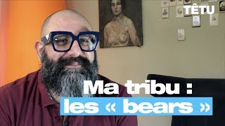 Découvrez ma tribu #1 : les ours