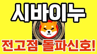 [시바이누 코인전망] 잠잠한 이유! 이 신호 모르면 절대 수익낼 수 없죠