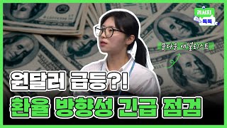 [리서치톡톡] 트럼프 전대통령 당선 확률 증가에 원달러 급등🔥단기 오버슈팅 후 원달러 환율 방향성 긴급 점검