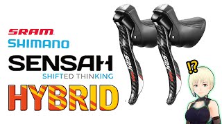 SENSAH Road Bike Dual Lever Review and Installation Instructions