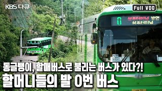 🚌 꼬불꼬불 성주 시골길을 누비는 할매들의 버스! '0번, 성주 할매버스 이야기’ (KBS 20170701 방송)