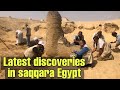 The sixth season of the excavations in Saqqara Egypt - September 2022