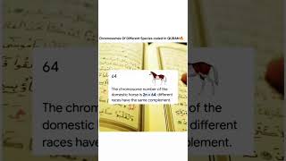 Chromosome Secrets in the Quran | Miracles of the Quran Unveiled 🔍✨