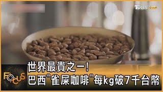 世界最貴之一! 巴西「雀屎咖啡」 每kg破7千台幣｜秦綾謙｜FOCUS全球新聞 20230911 @TVBSNEWS01