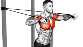 8 Best Chest Exercises For Build Massive Chest - Power In Gym