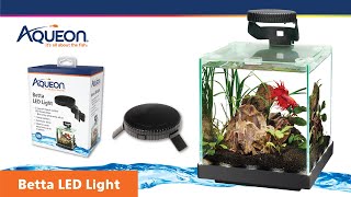 Aqueon Betta LED Light