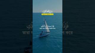 যখন তারা নৌযানে আহরণ #quran #quranrecitation #quranic #surah #abdurrahaman #recitation #vairalshort