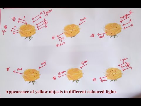 What will a green object appear in yellow light?
