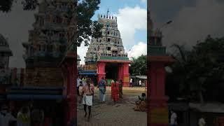 Perur Pateeswarar Temple |  Shiva Temple Coimbatore | #shorts