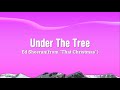 Ed Sheeran — Under the Tree Lyrics (from “That Christmas”)