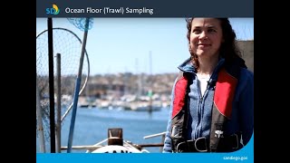 Ocean Floor (Trawl) Sampling