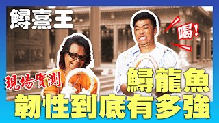 【鱘熹王】現場實測 鱘龍魚的韌性到底有多強!? #沈文程 #香蕉 #鱘熹王