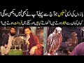 Golden Eagles 🦅 Falcons Shikra Baz Chirimar 🦉 in Saddar Birds Market Karachi 🦅