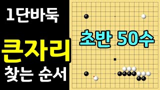 [초반 50수] 1단바둑 큰자리 찾아가는 순서(바둑강좌)