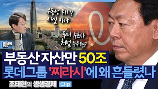 [생생경제] 부동산 자산만 50조, 롯데그룹 '찌라시'에 왜 흔들렸나_241120