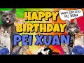 Happy Birthday Pei Xuan! Crazy Cats Say Happy Birthday Pei Xuan (Very Funny)