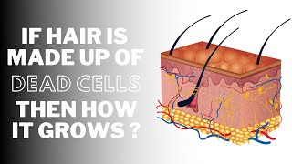 If hair is made of dead cells then how it GROWS ?