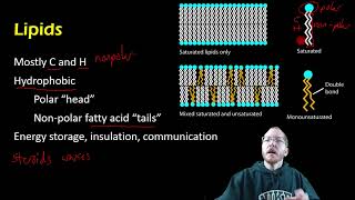 Biology:  Carbohydrates and Lipids