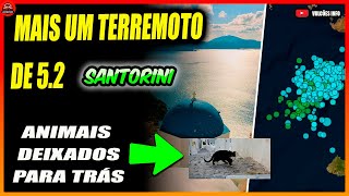 Mais de 4 mil terremotos,  e outra ilha em risco. Muitos animais foram abandonados na ilha