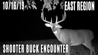 East Show | Shooter Buck Encounter, Birthday Deer