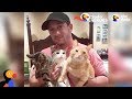 Couple Devotes Lives To Rescuing Special Needs Cats | Dodo Heroes