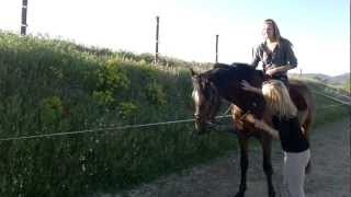 Mon cheval Paco 1er pas espagnol monté 1er couche monte révérence monte