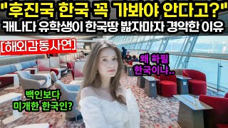 [해외감동사연]백인보다 미개한 후진국 한국인이 사는 곳을 꼭 가봐야 안다고? #해외감동사연 #감동 #해외반응