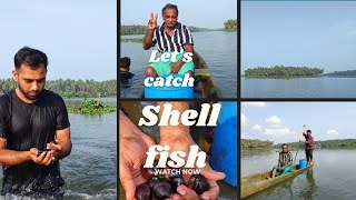 എരുന്ത് പെറുക്കാൻ പോയാലോ | shell fish | figure of fine