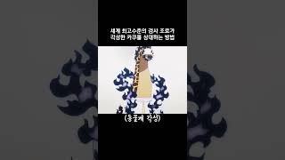 세계 최고수준의 검사 조로가 각성한 카쿠를 상대하는 방법 #원피스