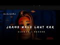 Jaane Wale Laut Kar - B Praak Song _ Slowed And Reverb Lofi Mix ##luckylovesonglover