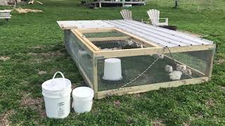 Chicken tractor for 30 meat birds