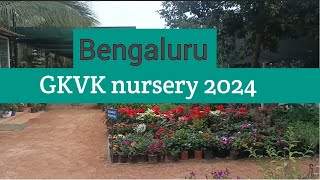 GKVK | nursery | Bengaluru | active life chat teja