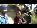 i love kufri best tourist place near shimla episode 2