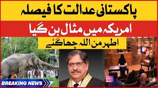 Chief Justice Athar Minallah Elephant Rights Case Became An Example In American Court |Breaking News