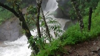 Ulupunni tunnel #shorts #vagamon #tunnel #nature #ulupunni #water #rain  #vellaramchitta #kappakanam