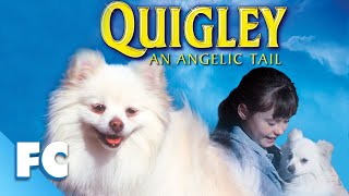 Quigley | Full Family Comedy Fantasy Dog Movie | Gary Busey | Family Central